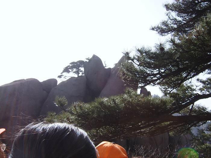 ���ݵ���������