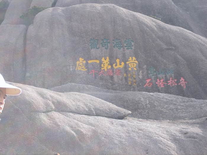 ���ݵ���������