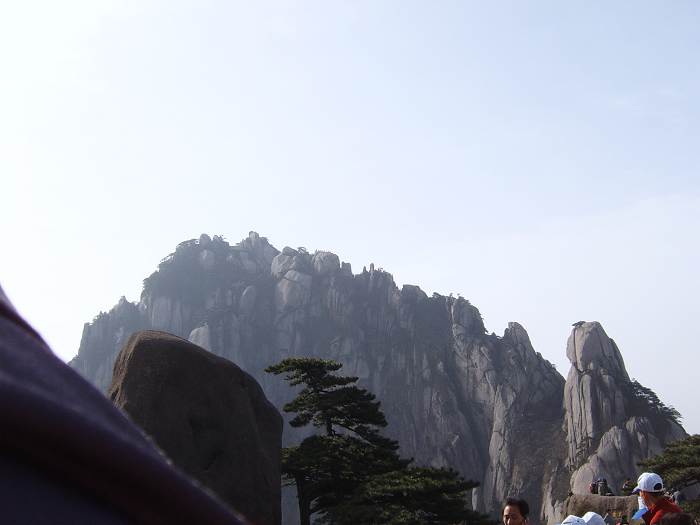 ���ݵ���������