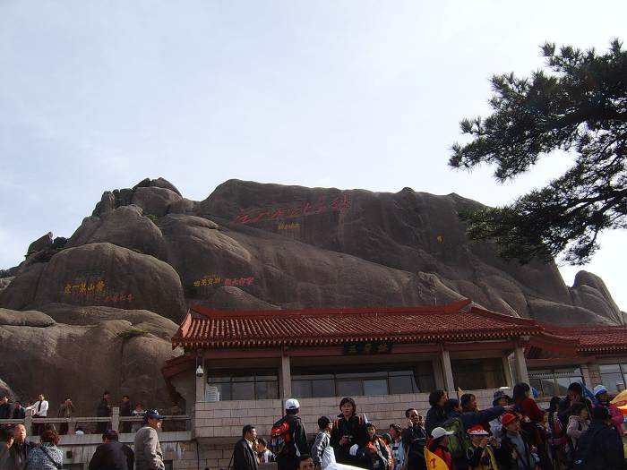 ���ݵ���������