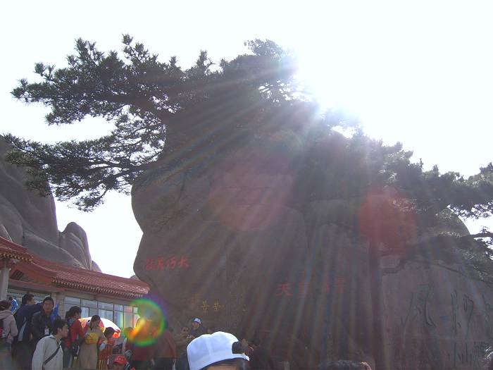 ���ݵ���������