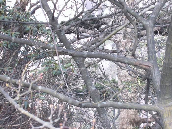 ���ݵ���������