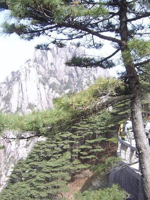 ���ݵ���������