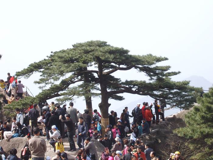 ���ݵ���������