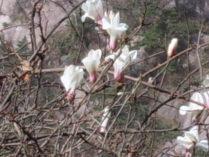 ���ݵ���������