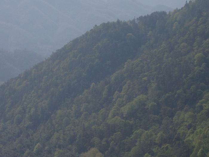 ���ݵ���������