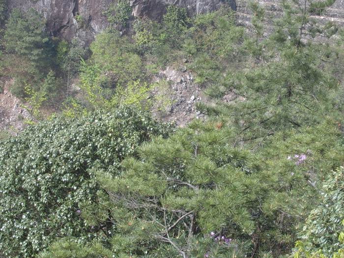 ���ݵ���������