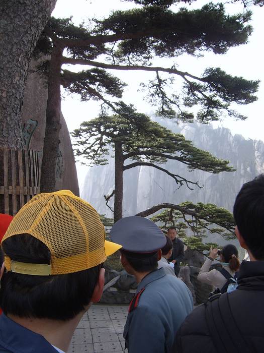 ���ݵ���������