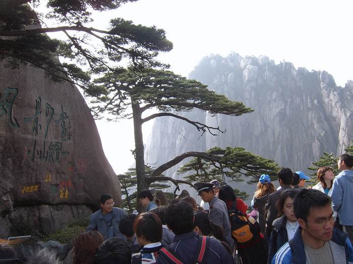 ���ݵ���������