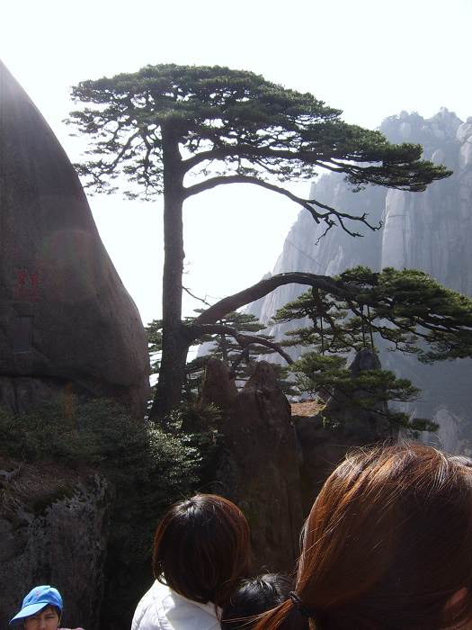 ���ݵ���������