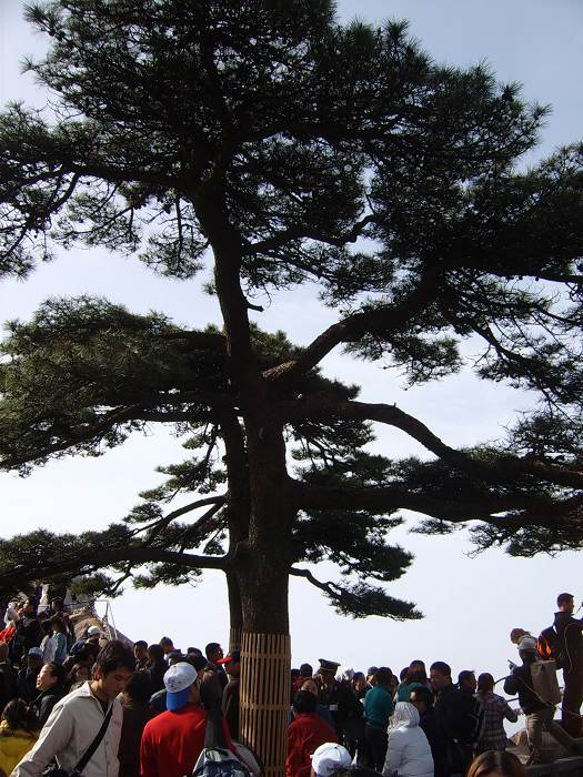 ���ݵ���������