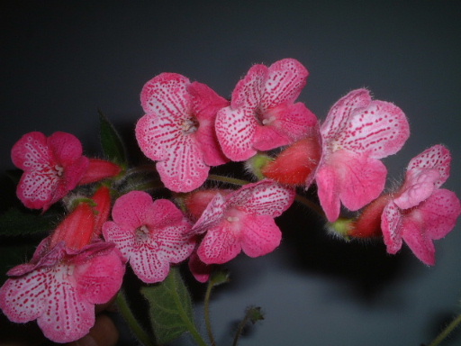 �_ѽ�_ѽ.. . �����_��ͣ ~