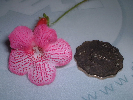 �_ѽ�_ѽ.. . �����_��ͣ ~