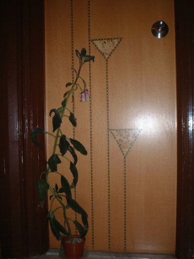 �_ѽ�_ѽ.. . �����_��ͣ ~