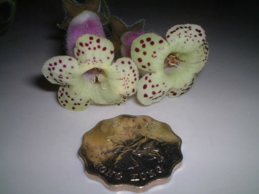 �_ѽ�_ѽ.. . �����_��ͣ ~