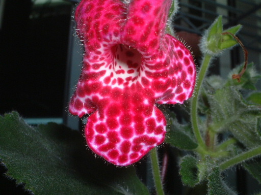 �_ѽ�_ѽ.. . �����_��ͣ ~