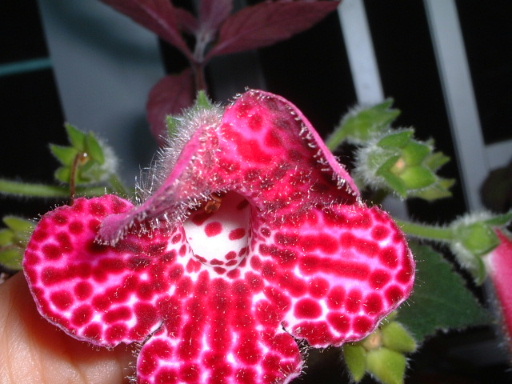 �_ѽ�_ѽ.. . �����_��ͣ ~