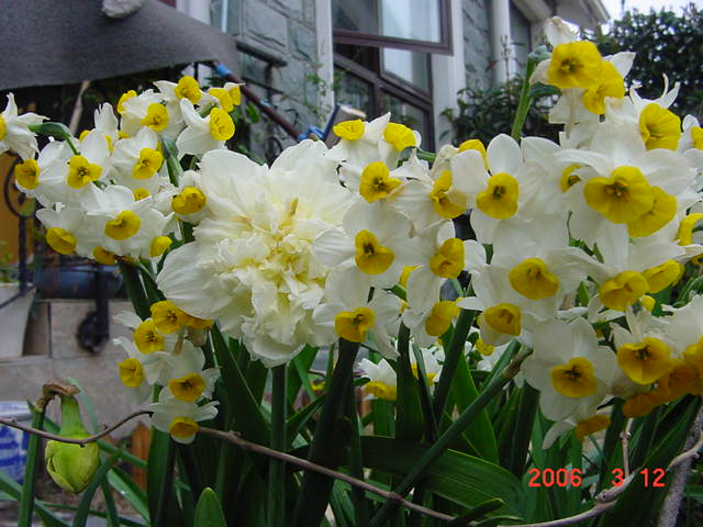 ����СԺ����P12 ���ٺ�����