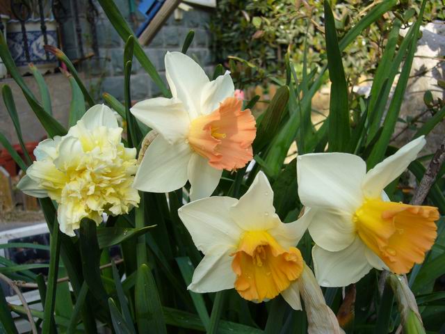 ����СԺ����P12 ���ٺ�����