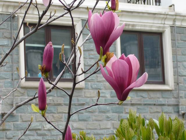 ����СԺ����P12 ���ٺ�����