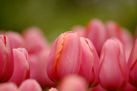 �������ҵ�������