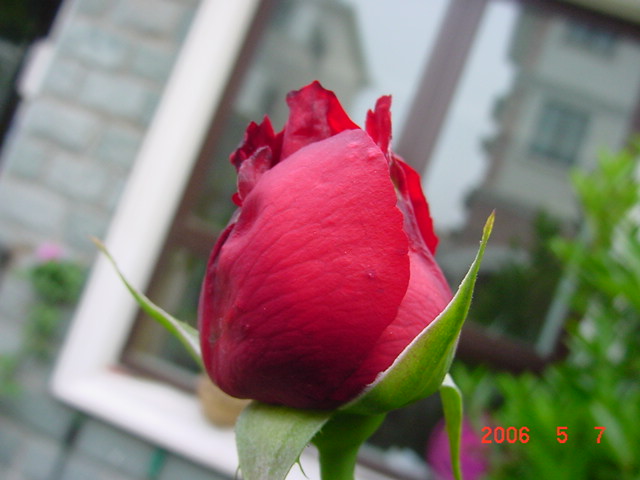 ����СԺ����P12 ���ٺ�����