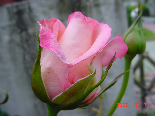 ����СԺ����P12 ���ٺ�����