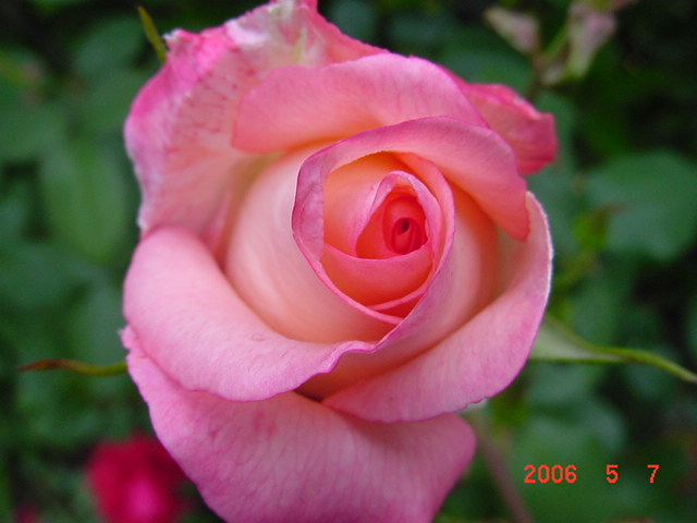 ����СԺ����P12 ���ٺ�����