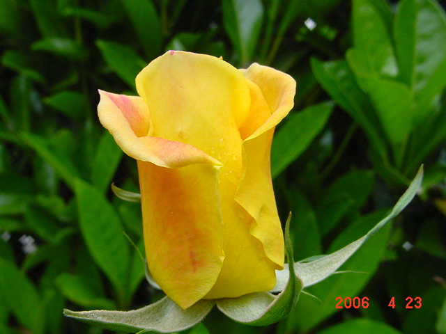 ����СԺ����P12 ���ٺ�����