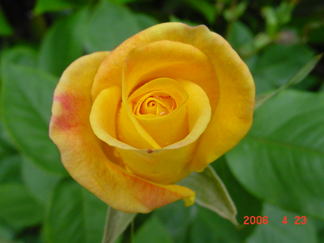 ����СԺ����P12 ���ٺ�����