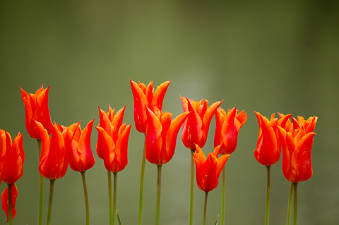 �������ҵ�������