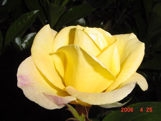 ����СԺ����P12 ���ٺ�����