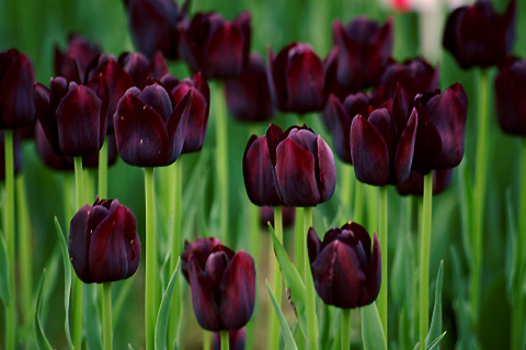 �������ҵ�������