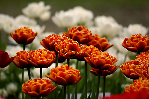 �������ҵ�������