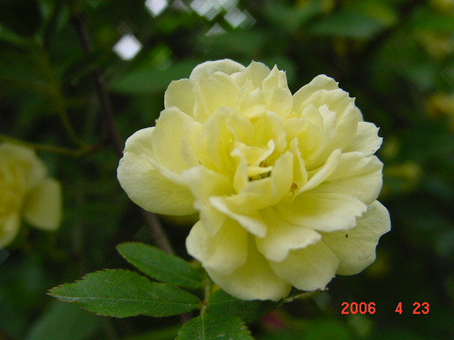 ����СԺ����P12 ���ٺ�����