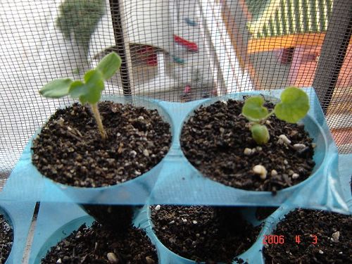 �Ҵ��������մ�����ţ