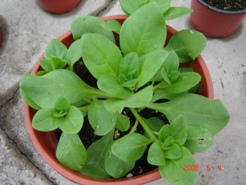 �Ҵ��������մ�����ţ