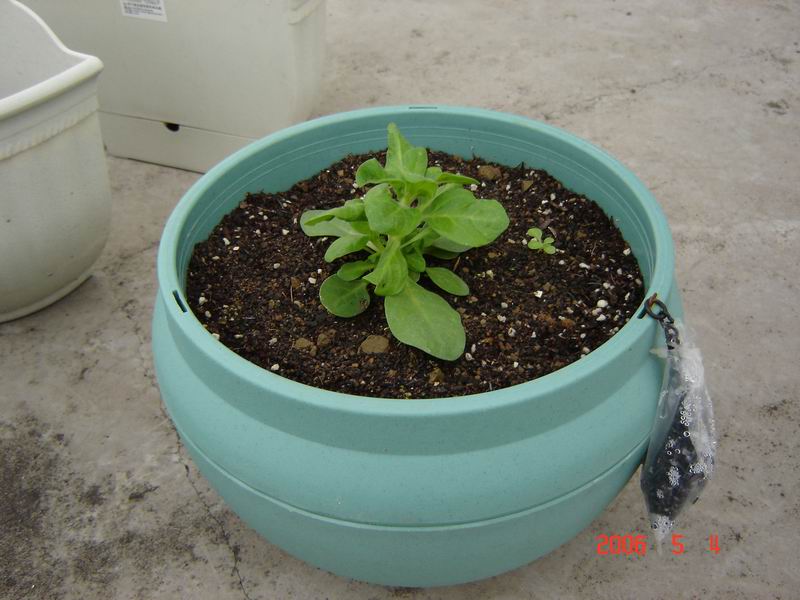 �Ҵ��������մ�����ţ