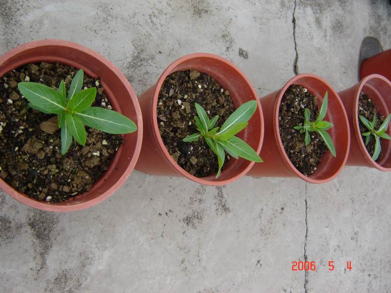 �Ҵ��������մ�����ţ