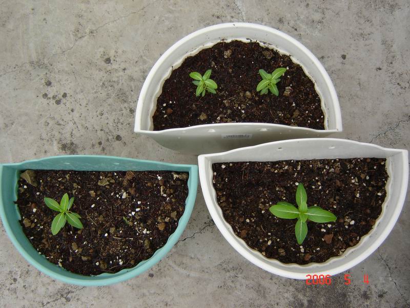 �Ҵ��������մ�����ţ