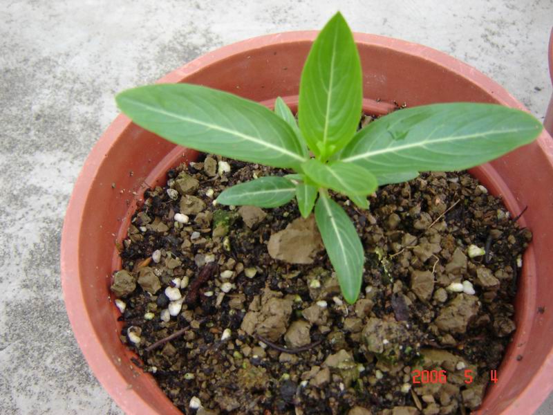 �Ҵ��������մ�����ţ