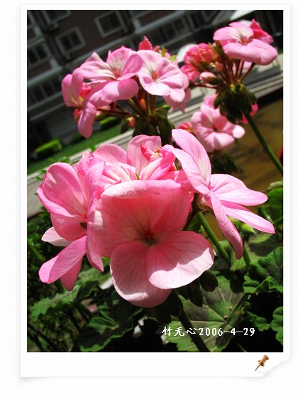 ���������ÿ���