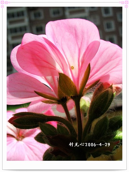 ���������ÿ���