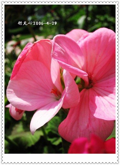 ���������ÿ���