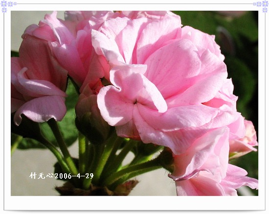 ���������ÿ���