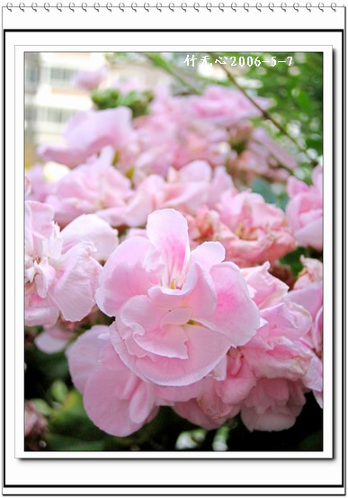 ���������ÿ���