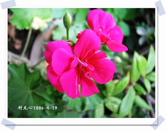 �����ÿ�