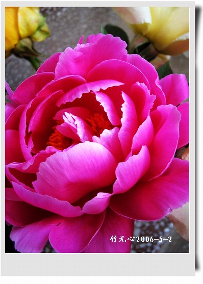 ����ҵ��¼�����ҩ