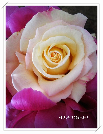 ����ҵ��¼�����ҩ