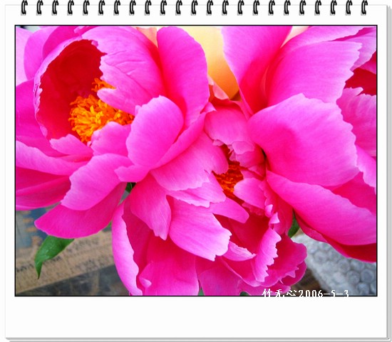 ����ҵ��¼�����ҩ